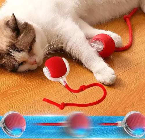 Brinquedo Inteligente Para Gatos