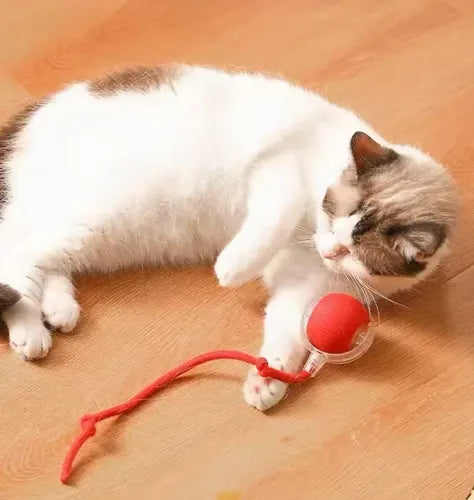 Brinquedo Inteligente Para Gatos