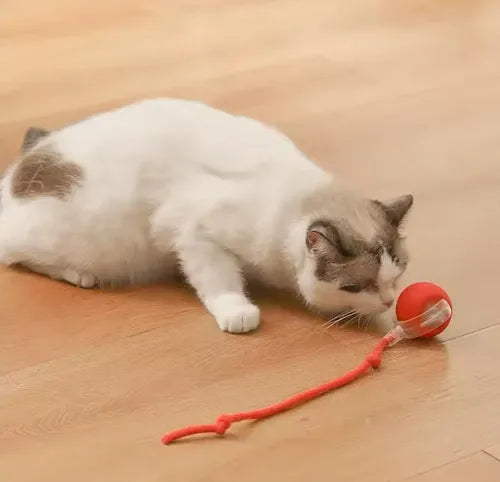 Brinquedo Inteligente Para Gatos