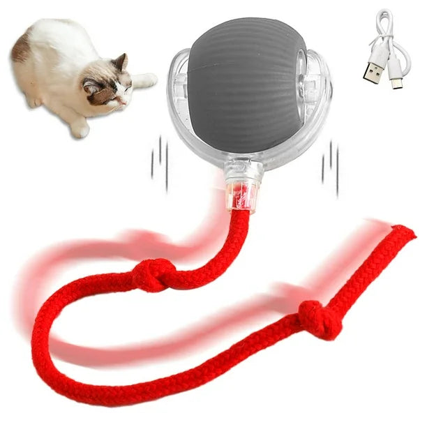 Brinquedo Inteligente Para Gatos