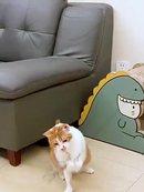 Kit 2 Brinquedos Varinha para Gatos com Pena