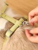 Coleira Peitoral Colete Com Guia Para Cachorro, Gatos, Cães Pequenos com guia para pet colete confortável