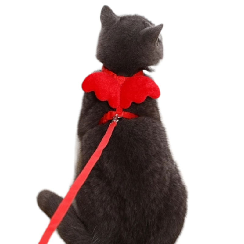 Coleira Peitoral com Guia para Gatos