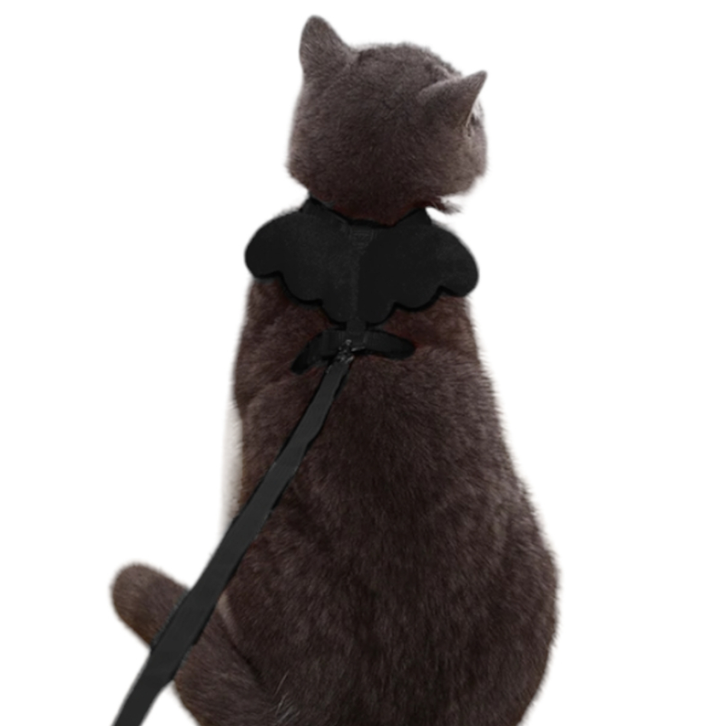 Coleira Peitoral com Guia para Gatos
