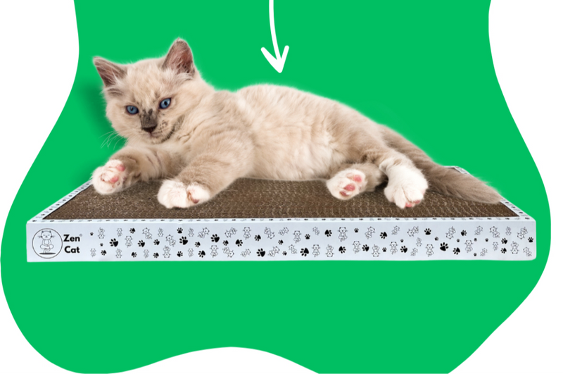 Arranhador para Gatos Caminha Bolacha – Conforto e Diversão para o Seu Gato!