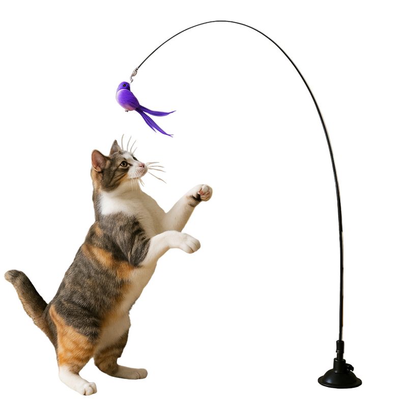 Kit 2 Brinquedo Varinha Gato Pena de Passaro Com Ventosa Fixa No Chao
