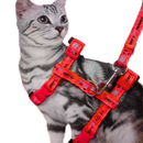 Coleira Peitoral com Guia para Gatos