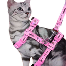 Coleira Peitoral com Guia para Gatos