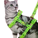 Coleira Peitoral com Guia para Gatos