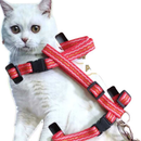 Coleira Peitoral com Guia para Gatos