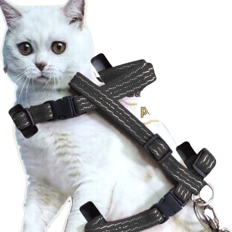 Coleira Peitoral com Guia para Gatos