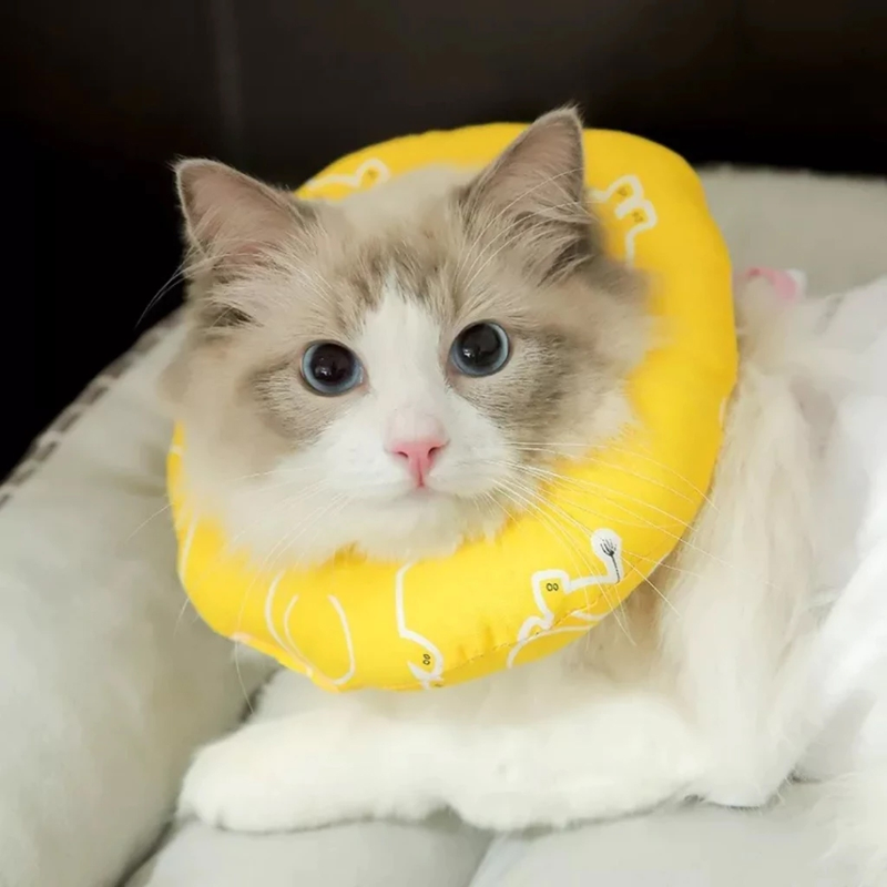 Colar Confort De Recuperação Para Cães e Gatos Ajustável Algodão Cores Diversas