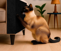 Arranhador Adesivo para Gatos – Carpete 200x50cm