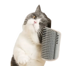 Kit 2 Peças Escovas de Parede Para Gato - Brinquedo Pet Catnip/ Massagem/ Tira Pelos e Coçador Antiestresse Para Felinos