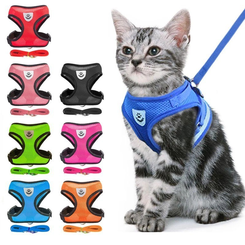 Coleira Peitoral com Guia para Gatos – Malha Flexível e Ajustável